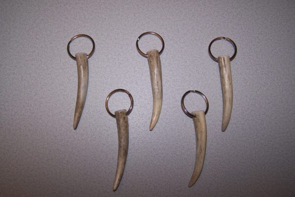 Antler Key Chains